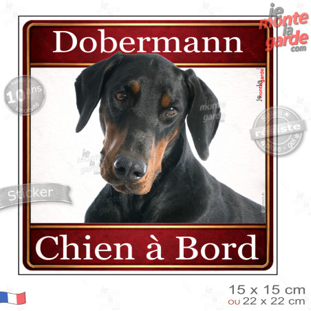 Dobermann noir et feu Tête, sticker carré "Chien à Bord" autocollant photo auto, adhésif vitre voiture jaune orange, résiste plu