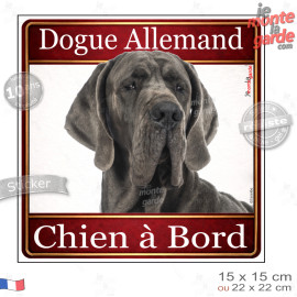 Dogue Allemand gris bleu Tête, sticker carré "Chien à Bord" autocollant photo auto, adhésif vitre voiture jaune orange, résiste 