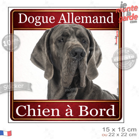 Dogue Allemand gris bleu Tête, sticker carré "Chien à Bord" autocollant photo auto, adhésif vitre voiture jaune orange, résiste 