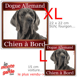 Dogue Allemand gris bleu, sticker voiture photo carré "Chien à Bord" résiste pluie soleil gel, idée cadeau, 2 Tailles E