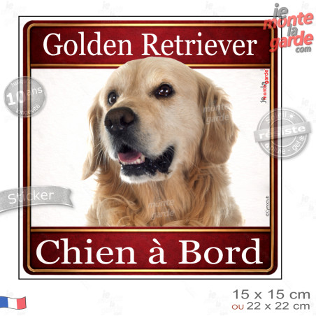 Golden Retriever Tête, sticker carré "Chien à Bord" autocollant photo auto, adhésif vitre voiture jaune orange, résiste pluie so