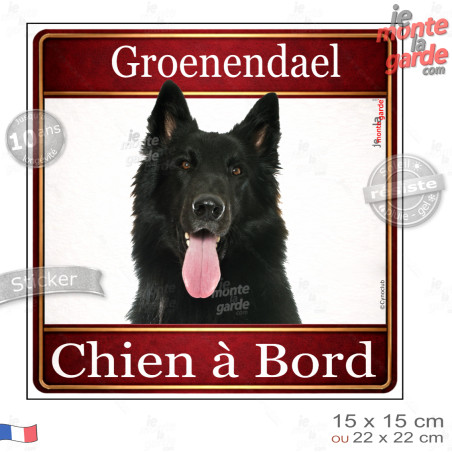 Groenendael Tête, sticker carré "Chien à Bord" autocollant photo auto, adhésif vitre voiture jaune orange, résiste pluie soleil 
