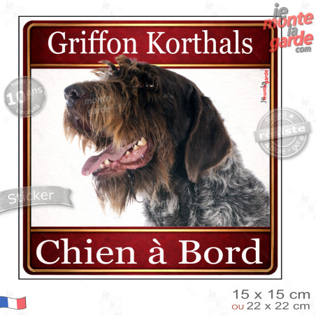 Griffon Korthals Tête, sticker carré "Chien à Bord" autocollant photo auto, adhésif vitre voiture jaune orange, résiste pluie so