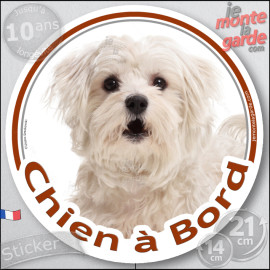 Bichon Maltais blanc, sticker autocollant rond "Chien à Bord" Disque photo adhésif voiture vitre, résiste pluie soleil gel, idée