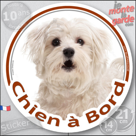 Bichon Maltais blanc, sticker autocollant rond "Chien à Bord" Disque photo adhésif voiture vitre, résiste pluie soleil gel, idée