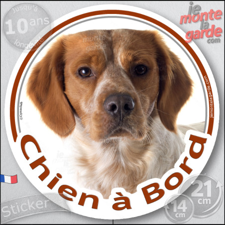 Epagneul Breton orange Tête, sticker autocollant rond "Chien à Bord" Disque adhésif vitre voiture marron photo, résiste pluie so