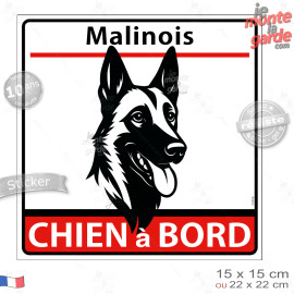 Berger Belge Malinois, sticker autocollant carré "Chien à Bord" adhésif vitre voiture photo, résiste pluie soleil gel, idée cade