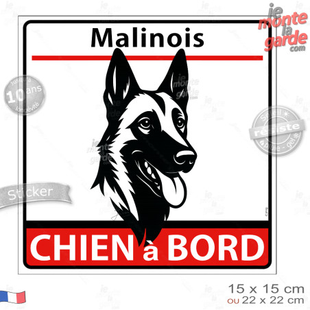 Berger Belge Malinois, sticker autocollant carré "Chien à Bord" adhésif vitre voiture photo, résiste pluie soleil gel, idée cade
