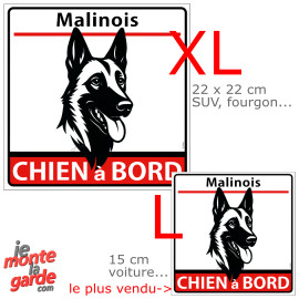 Autocollant voiture carré dessin "Malinois à Bord" résiste dehors, 2 Tailles