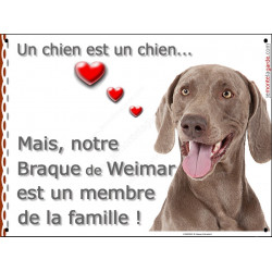 Plaque "Un chien est un Membre de la Famille" Braque de Weimar Tête pancarte panneau affiche