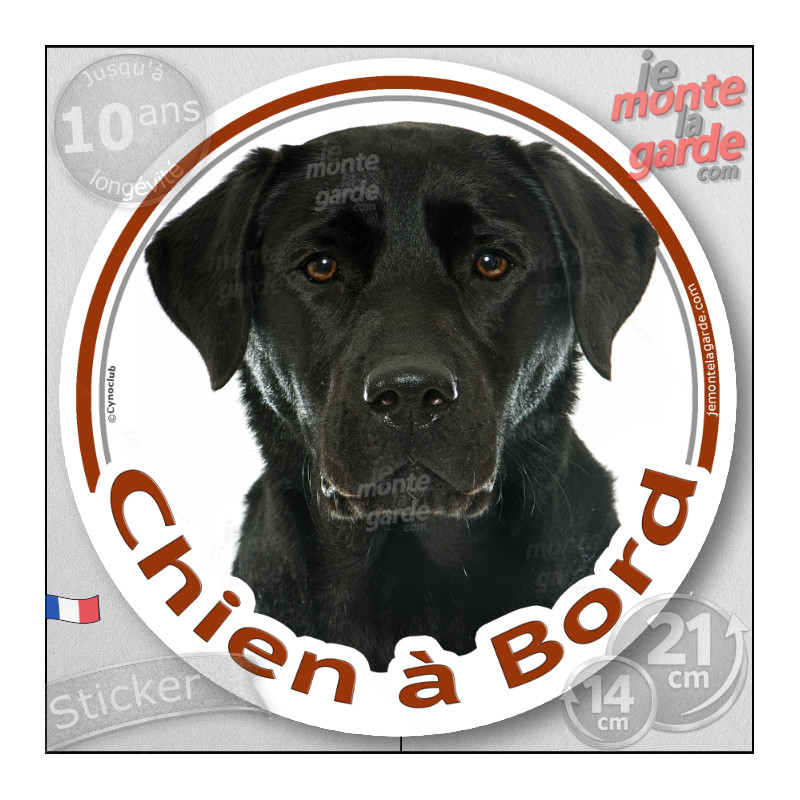 Labrador noir, sticker rond "Chien à Bord" Disque autocollant voiture, adhésif auto photo, résiste pluie soleil gel, idée cadeau Labrador noir, sticker rond "Chien à Bord" Disque autocollant voiture, adhésif auto photo, résiste pluie soleil gel, idée cadeau