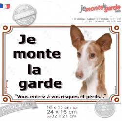 Podenco d'Ibiza fauve rouge et blanc, plaque portail "Je Monte la Garde, vous entrez à vos risques et périls" photo, résiste plu