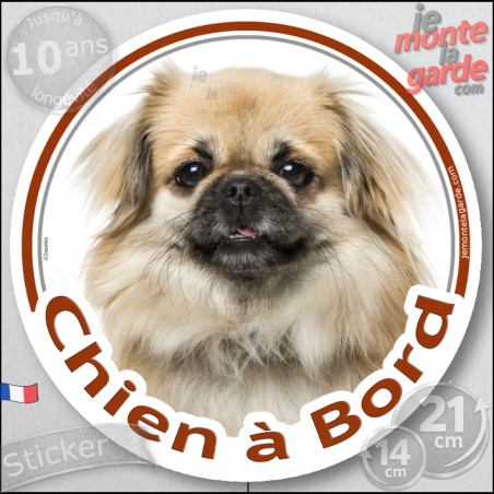 Epagneul Tibétain fauve charbonné, disque photo autocollant photo "Chien à Bord" Sticker adhésif rond vitre voiture résiste plui