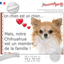 Chihuahua fauve et blanc poils longs, plaque "Un chien est Membre de la Famille" photo cadre, résiste pluie soleil gel, idée cad