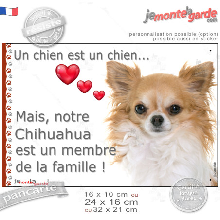 Chihuahua Blanc et fauve à poil long, plaque photo "un chien est un Membre de la Famille" idée cadeau, 3 Tailles D Chihuahua Blanc et fauve à poil long, plaque photo "un chien est un Membre de la Famille" idée cadeau, 3 Tailles D