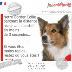 Border Collie tricolore poils longs, plaque humour "Attention au chien, distance Niche - Portail moins 3 secondes" 3 couleurs, r