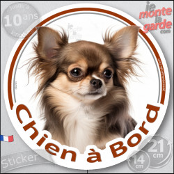 Chihuahua marron chocolat et tan poils longs, sticker autocollant rond "Chien à Bord" Disque photo adhésif vitre voiture, résist