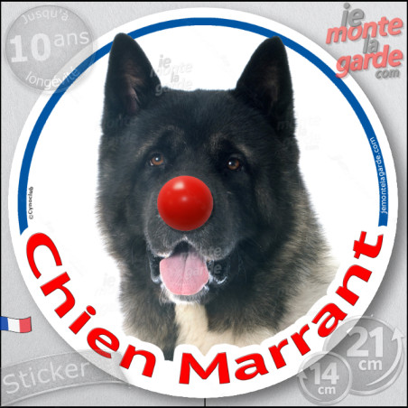 Akita Américain bringé, sticker autocollant rond "Chien Marrant" Disque adhésif vitre voiture photo amusant humoristique marrant