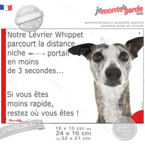 Lévrier Whippet bringé, plaque humour "parcourt la Distance Niche-Portail en moins de 3 secondes" photo, résiste pluie soleil ge