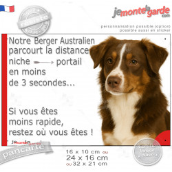 Berger Australien Tricolore marron chocolat, plaque Portail humour "parcourt distance niche-portail moins 3 secondes" photo, rés