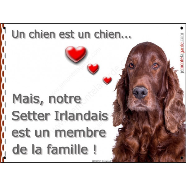 Plaque portail LOVE Membre de la Famille, Setter Irlandais Tête sage attention au chien affiche panneau pancarte