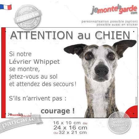 Lévrier Whippet bringé, plaque portail humour "Attention au Chien, Jetez Vous au Sol, attendez secours courage" photo, résiste p