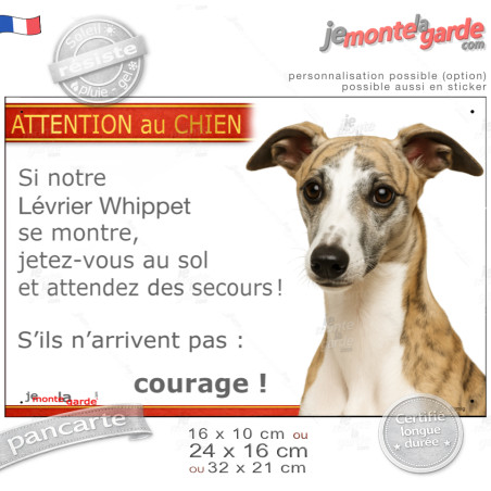 Lévrier Whippet bringé fauve, plaque portail humour "Attention au Chien, Jetez Vous au Sol, attendez secours courage" photo, rés