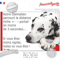 Plaque humour "Notre Dalmatien parcourt la distance Niche-Portail moins 3 secondes, rapide" photo, résiste pluie soleil gel, idé