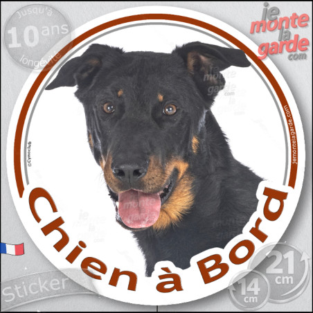 Beauceron noir et feu tête, sticker rond "Chien à Bord" Autocollant adhésif Berger de Beauce voiture auto vitre photo, résiste p