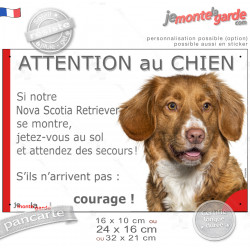 Nova Scotia Retriever, plaque portail humour "Attention au Chien, Jetez Vous au Sol, courage" photo, résiste pluie soleil gel, i