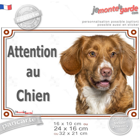 Nova Scotia Retriever ou Retriver de la Nouvelle-Ecosses, plaque portail "Attention au Chien" photo, résiste pluie soleil gel, i