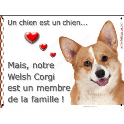 Welsh Corgi, plaque "Un chien est Membre de la Famille" photo panneau idée cadeau cadre pancarte affiche
