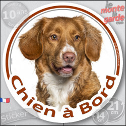 Nova Scotia Retriever Tête, sticker autocollant rond "Chien à Bord" Disque photo adhésif vitre voiture Duck Tolling, résiste plu