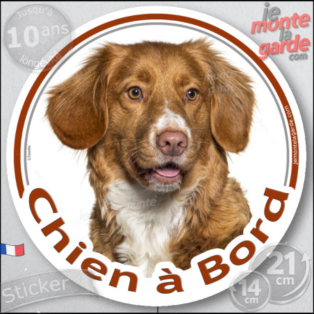 Nova Scotia Retriever Tête, sticker autocollant rond "Chien à Bord" Disque photo adhésif vitre voiture Duck Tolling, résiste plu