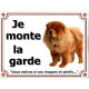 Chow-Chow Fauve, Plaque Portail "Je Monte La Garde, risques périls" pancarte affiche panneau orange attention au chien photo