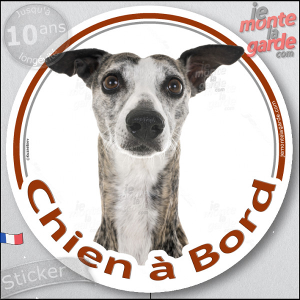 Lévrier Whippet bringé, sticker autocollant rond "Chien à Bord" Disque adhésif voiture photo, résiste pluie soleil gel, idée cad Lévrier Whippet bringé, sticker autocollant rond "Chien à Bord" Disque adhésif voiture photo, résiste pluie soleil gel, idée cad