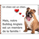 Bulldog Anglais, plaque "Membre de la Famille" 2 Tailles LOVE A