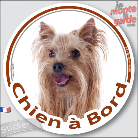 Yorkshire Terrier, sticker autocollant rond "Chien à Bord" Disque photo adhésif vitre voiture, résiste pluie soleil gel, idée ca