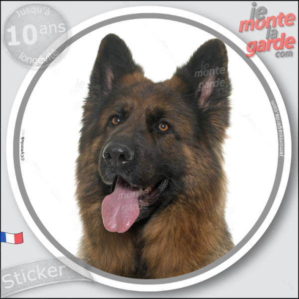 Berger Allemand poils longs ancien type, sticker autocollant rond "photo" disque adhésif Altdeutsche Schäferhunde, résiste pluie Berger Allemand poils longs ancien type, sticker autocollant rond "photo" disque adhésif Altdeutsche Schäferhunde, résiste pluie