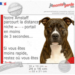 American Staff bringé, plaque humour "notre Amstaff parcourt la distance Niche-Portail en moins de 3 secondes, rapide" photo, ré