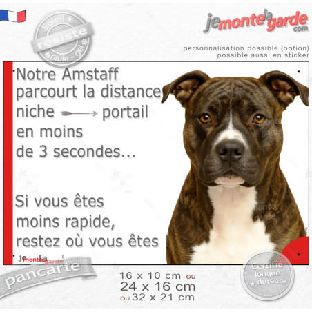 American Staff bringé, plaque humour "notre Amstaff parcourt la distance Niche-Portail en moins de 3 secondes, rapide" photo, ré