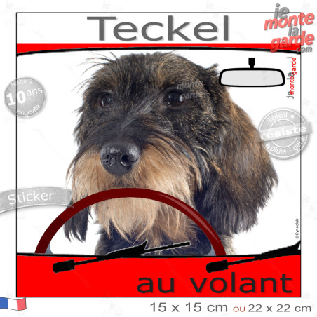 "Teckel à poils durs couleur sanglier au volant" panneau autocollant humoristique voiture photo sticker drôle chien à bord, rési