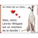 Lévrier Whippet Assis, plaque "Un chien est Membre de la Famille" pancarte cadre photo idée cadeau