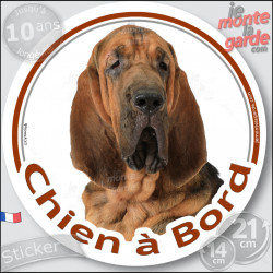Chien de Saint-Hubert Tête, sticker autocollant rond "Chien à Bord" Disque adhésif voiture auto st-hubert photo, résiste pluie s