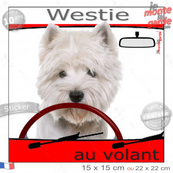 "Westie au volant" panneau autocollant humoristique voiture photo chien à bord West Highlands White Terrier Pub Cesar, résiste p
