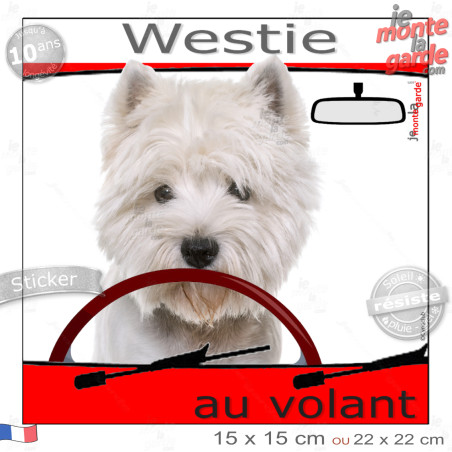 "Westie au volant" panneau autocollant humoristique voiture photo chien à bord West Highlands White Terrier Pub Cesar, résiste p