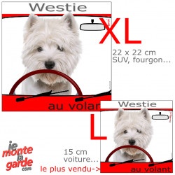"Westie au volant" photo autocollant voiture humour, résiste pluie soleil gel, idée cadeau, 2 Tailles D