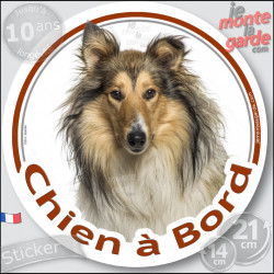Colley zibeline fauve, sticker autocollant voiture rond "Chien à Bord" Disque adhésif vitre photo, résiste pluie soleil gel, idé