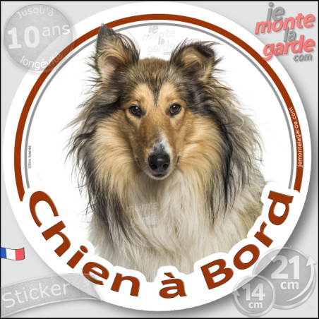 Colley zibeline fauve, sticker autocollant voiture rond "Chien à Bord" Disque adhésif vitre photo, résiste pluie soleil gel, idé