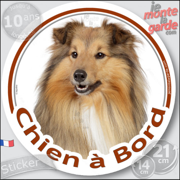 Colley fauve, disque photo autocollant "Chien à Bord" Sticker adhésif rond vitre voiture Lassie Berger d'Ecosse, résiste pluie s